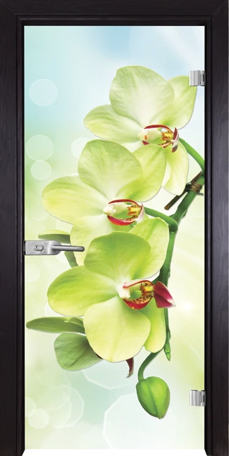 Стъклена врата модел Print 13-3 Green