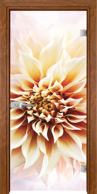 Стъклена Врата Gama Print G 13-5 Златен Дъб